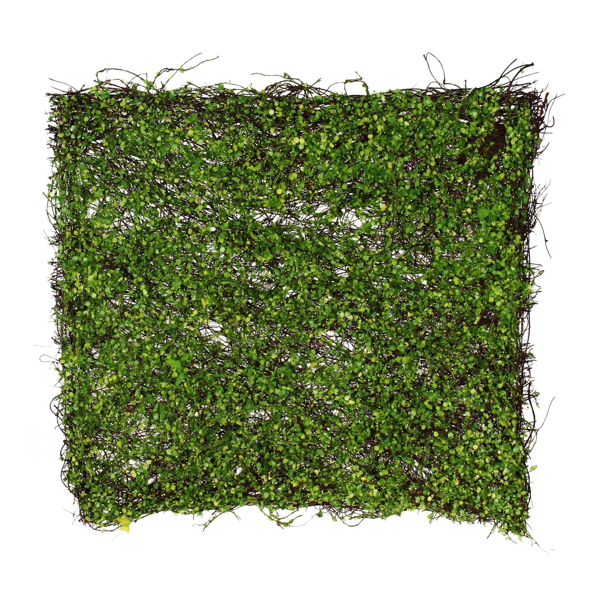 ARTE DO MUSGO. - 140-1300038