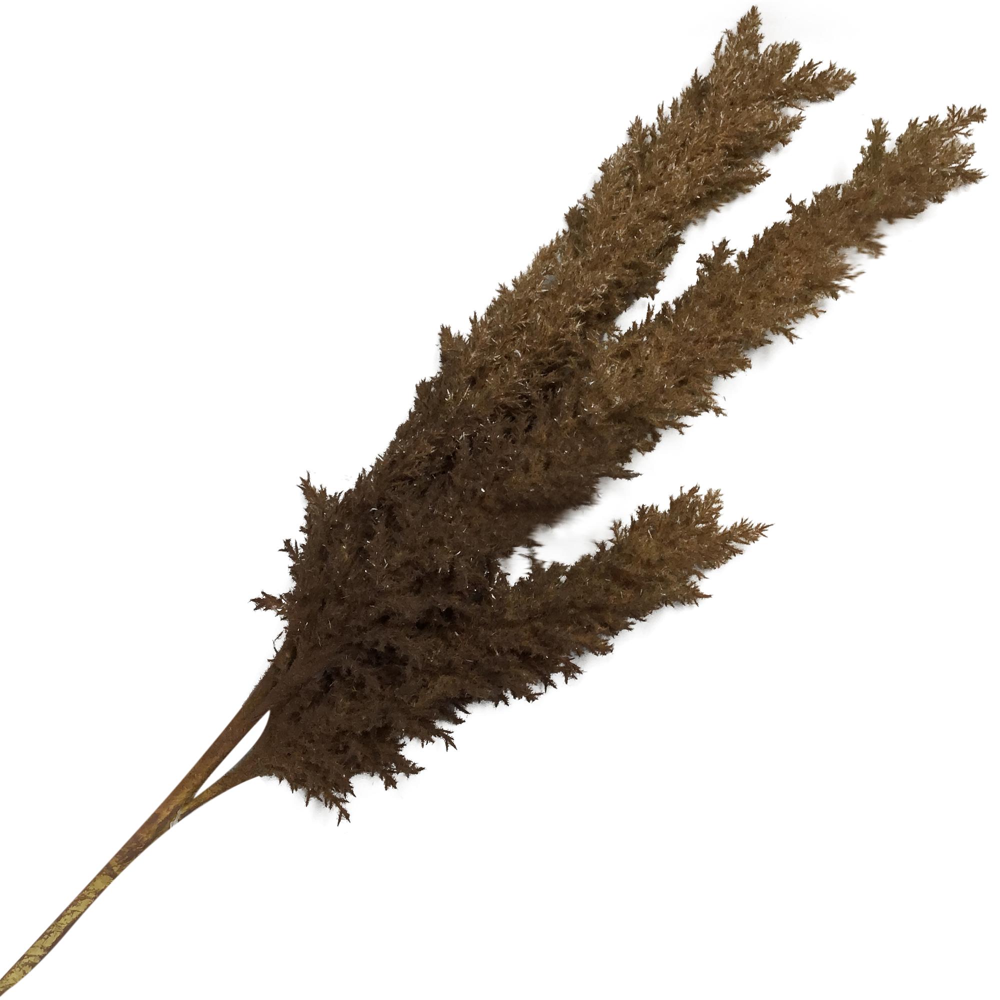 RAMA DECOR 122CM - 140-1300218