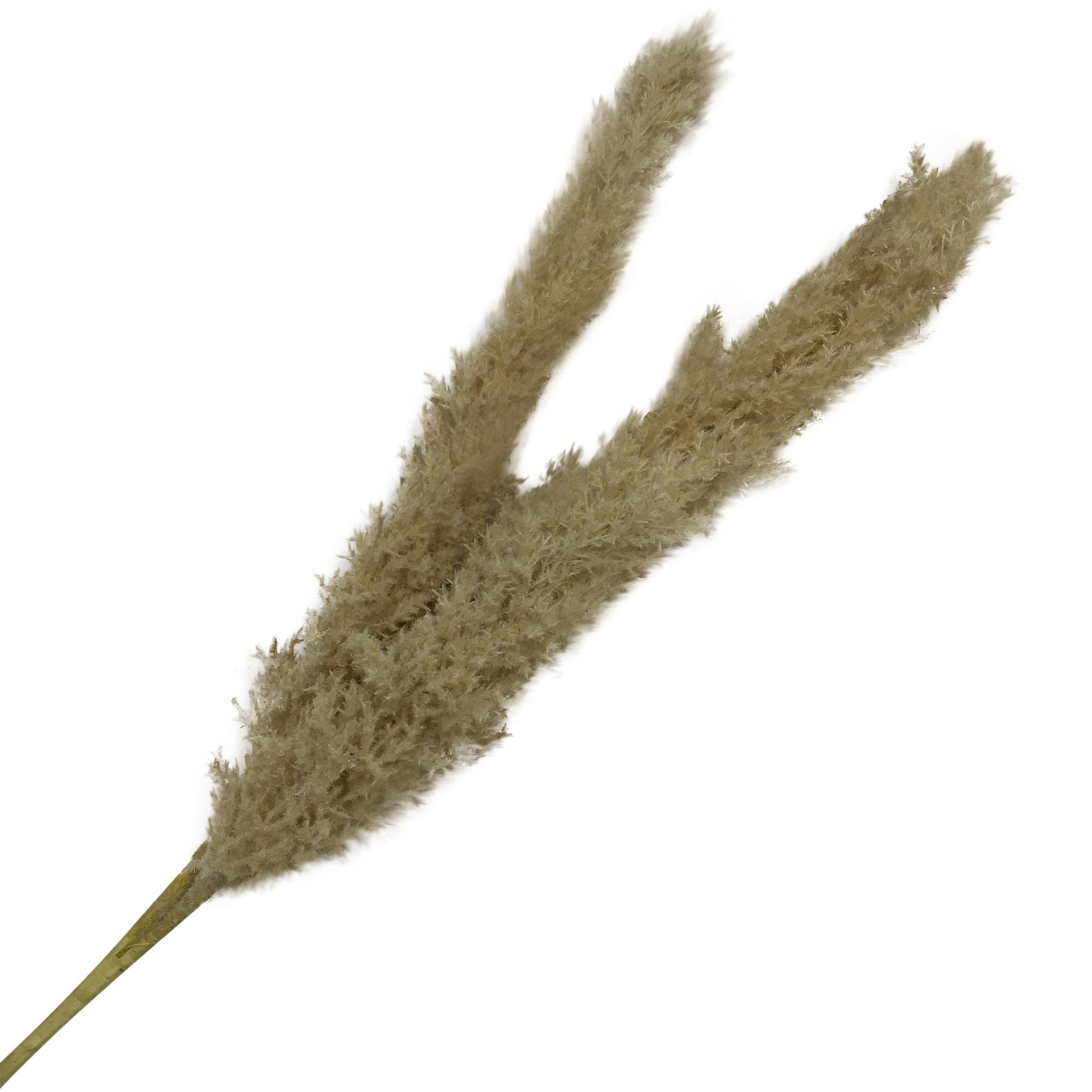 RAMA DECOR 122CM - 140-1300219