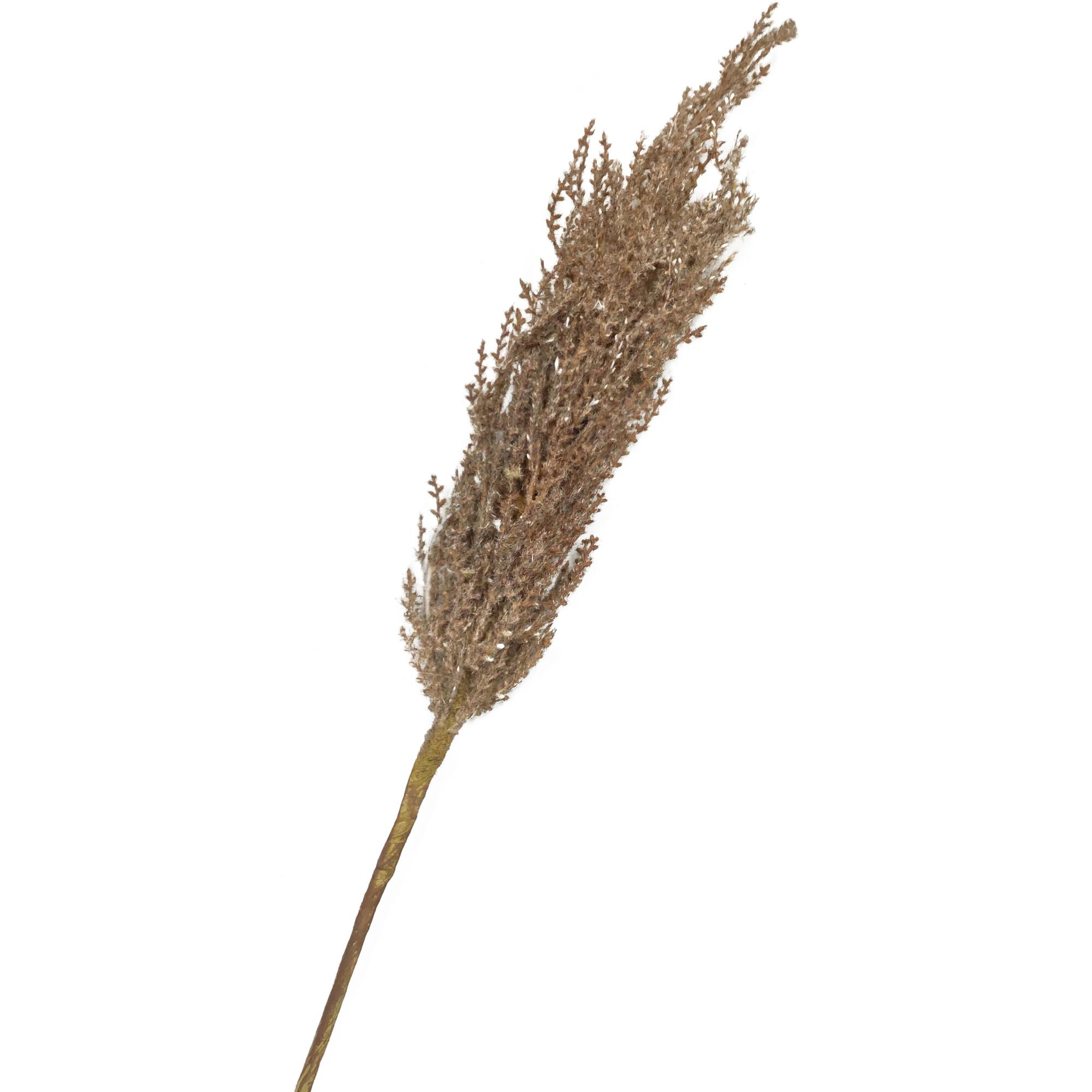 RAMA DECOR - 140-1300406