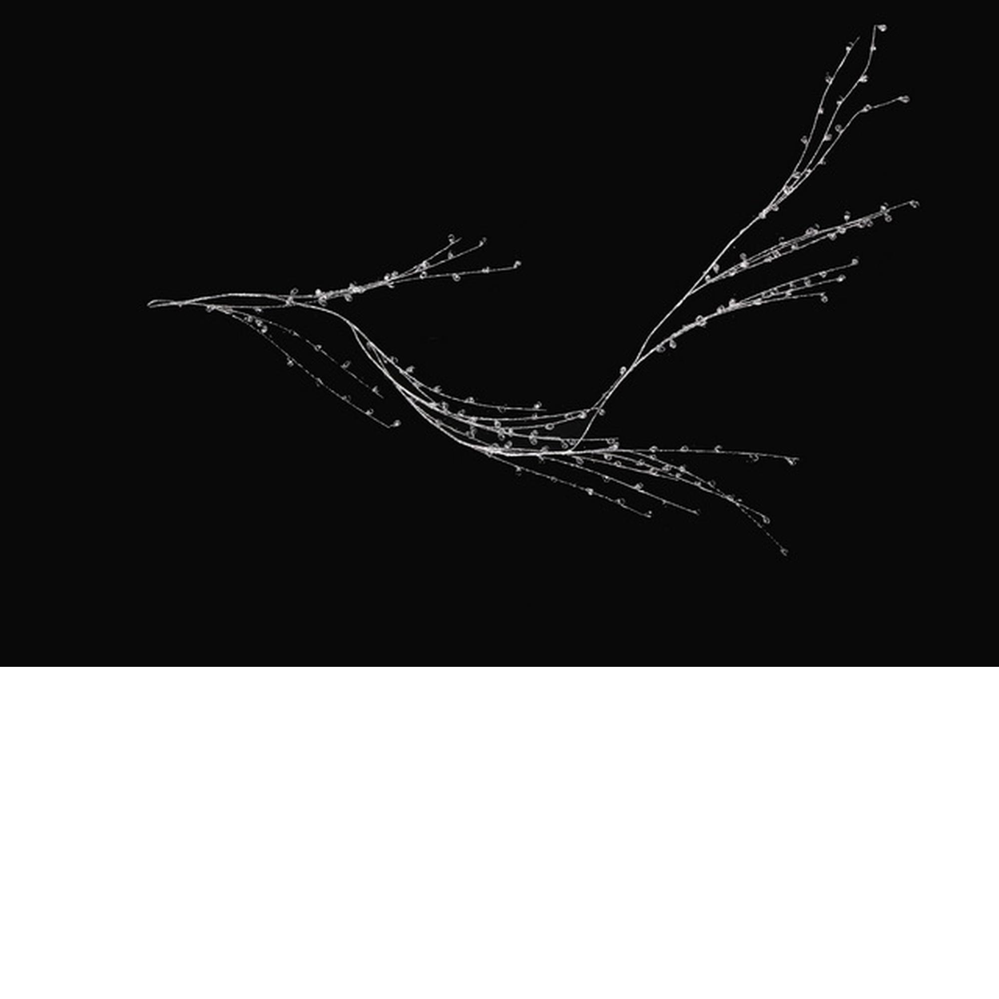 62'' GARLAND - 140-2200052