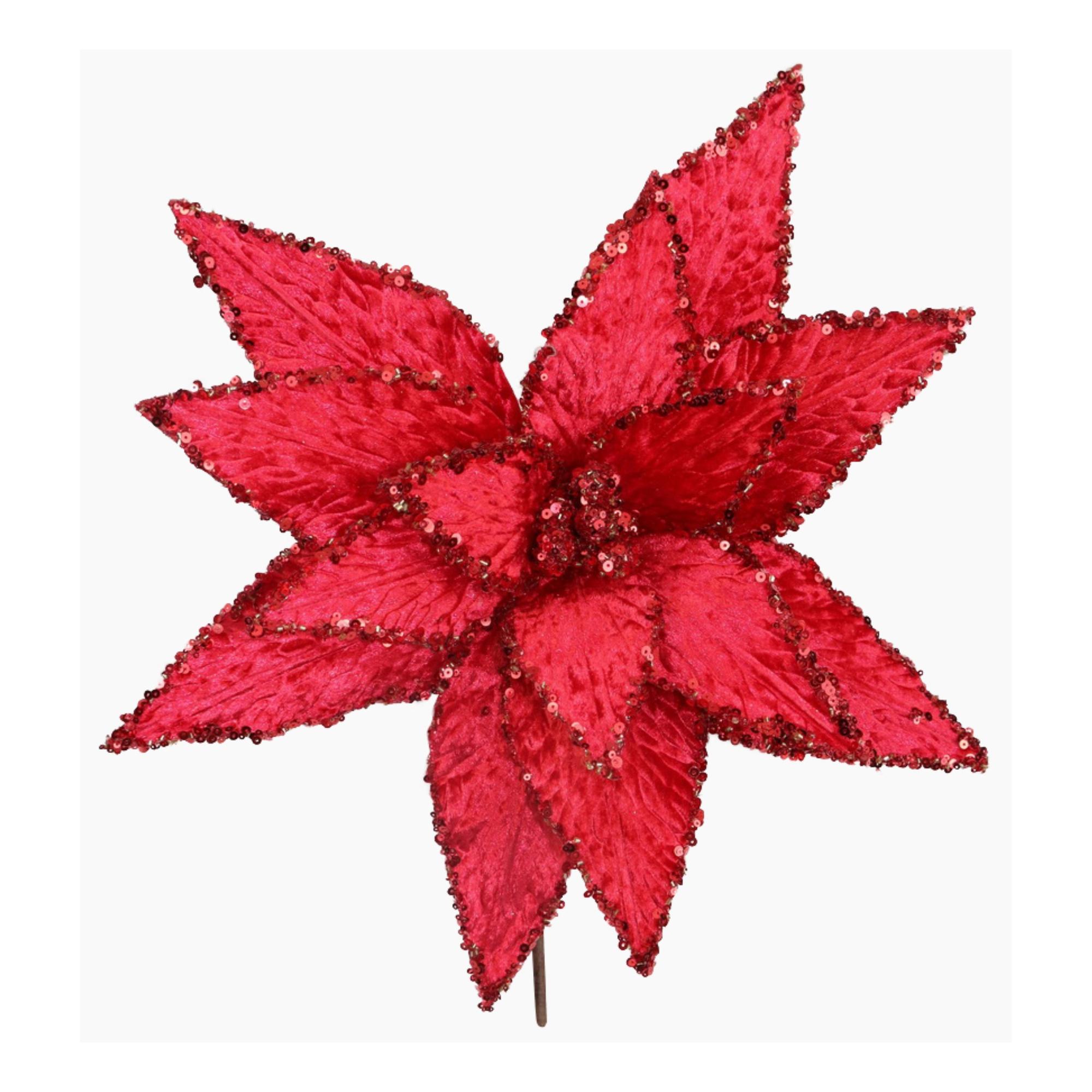 POINSETIA - 140-5200347