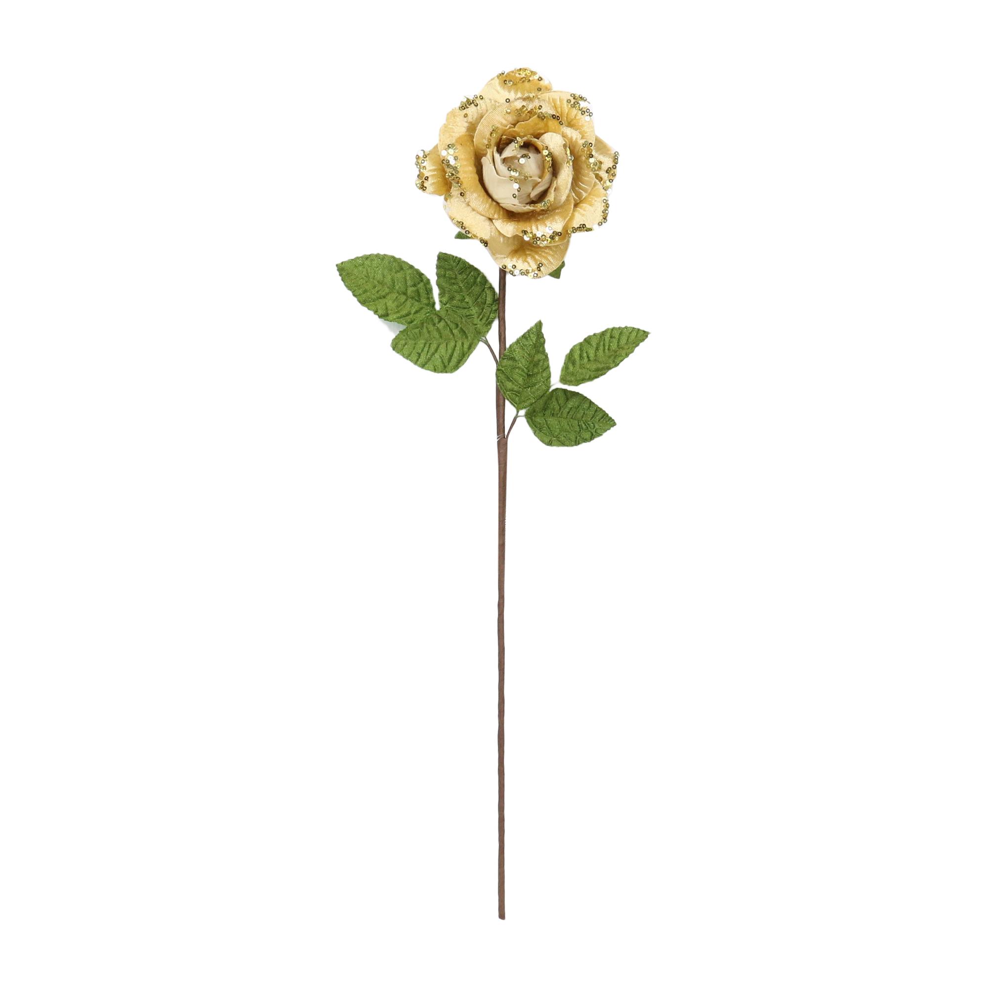 STEM - 140-5200597