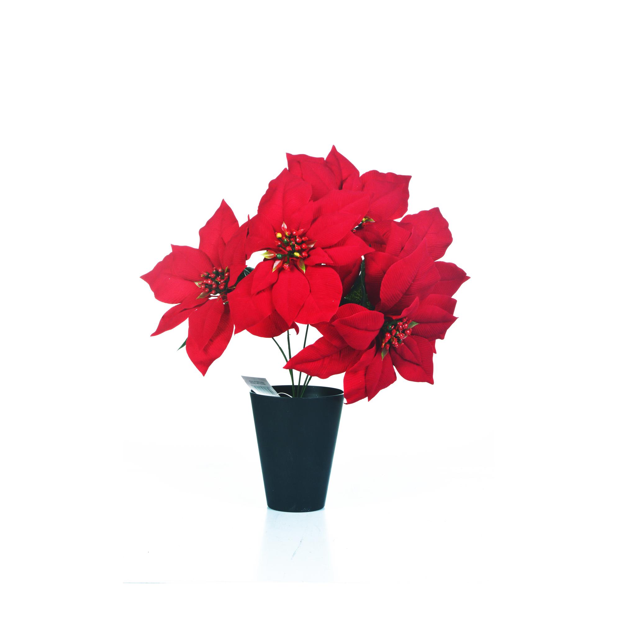 5HEADS WITH POT - 140-5700001