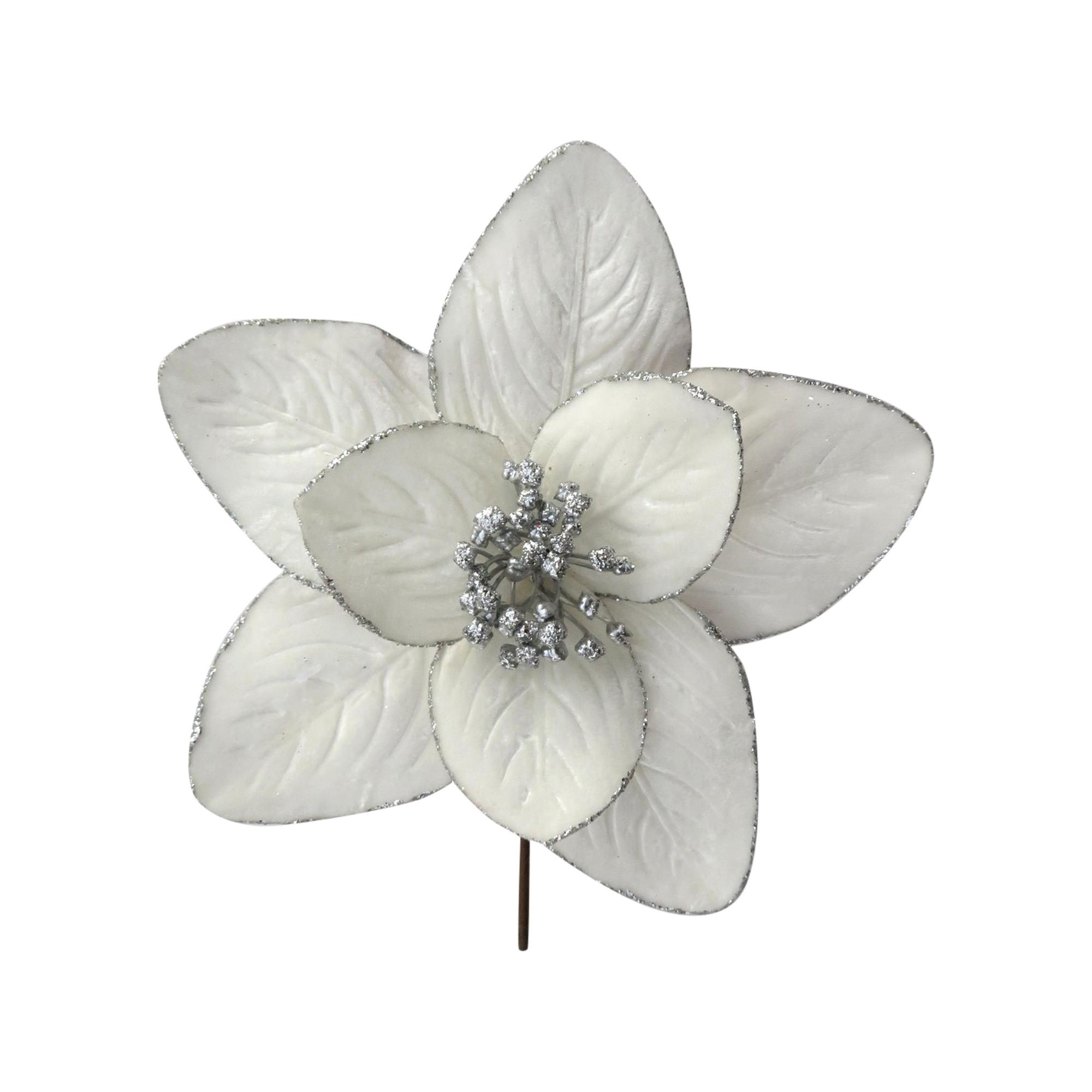 POINSETIA DECOR Dia22cm x H20c - 140-5801681