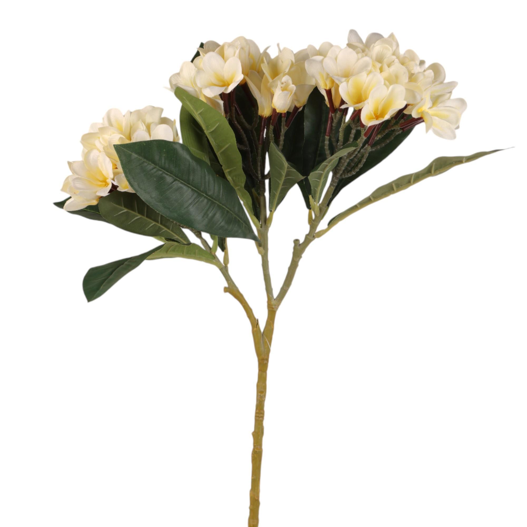 ARTE VEGETAL 10X18X80CM - 200-3200156
