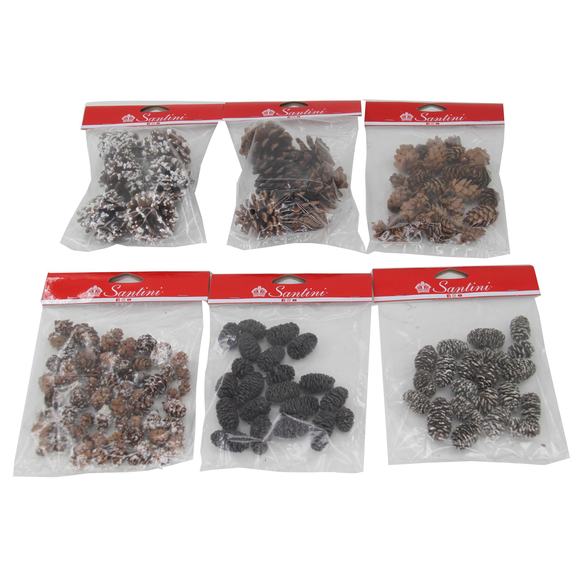 PINE 6PCS+6PCS+30G+30G+30G+30G - 200-7300025
