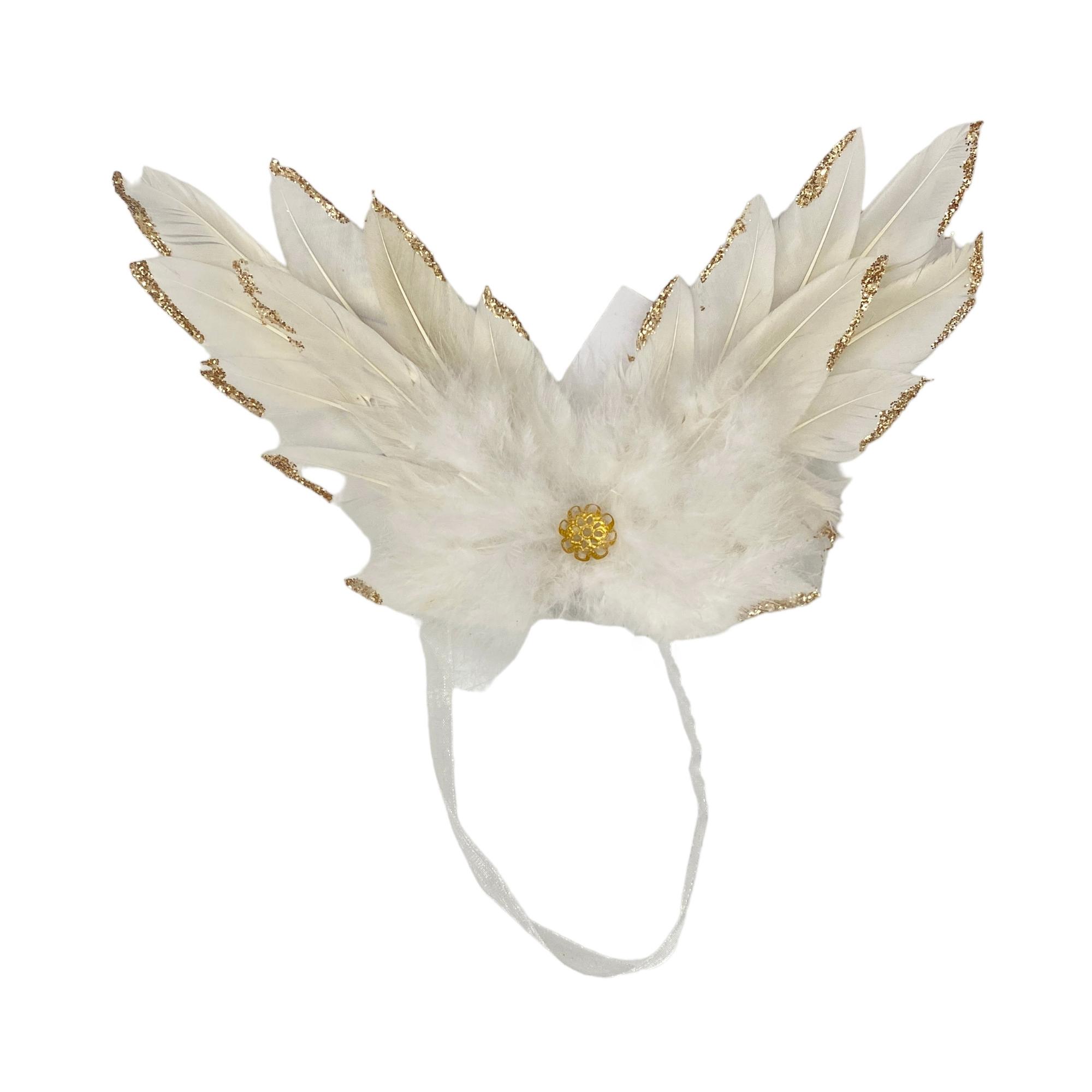 ANGEL'S WING - Noritex