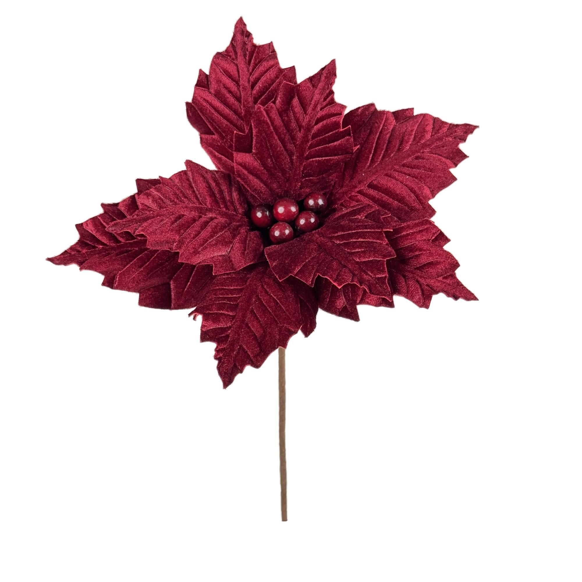 POINSETTIA - 201-3500449