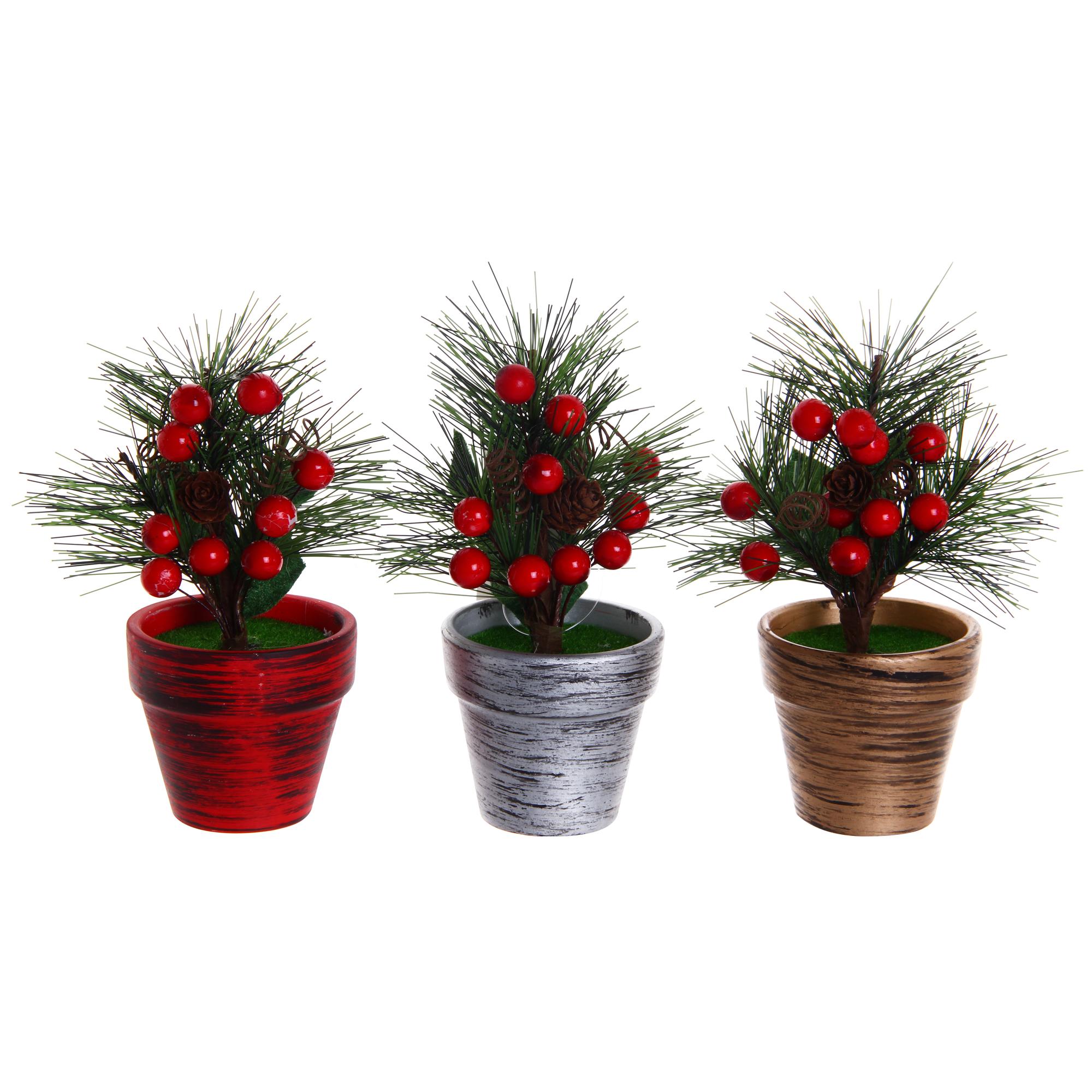 PLANTA C/POTE 7X16CM - 201-8900153