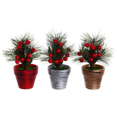 PLANTA C/POTE 7X16CM