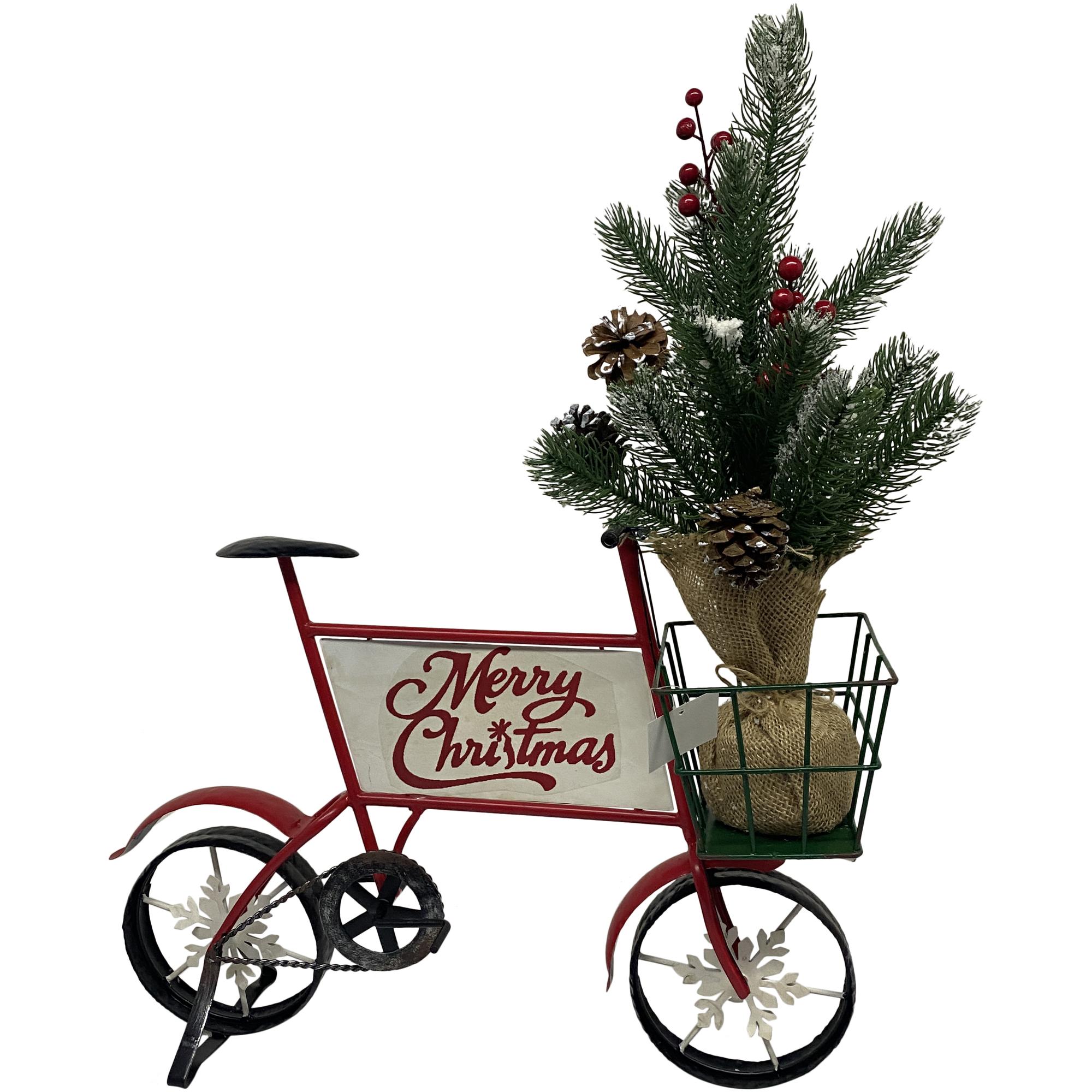 BICICLETA DECOR CON PLANTA INCLUIDA - 201-9000011