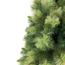 210CM . 1464TIPS. ATLANTA PINETREE WO/ LIGHTS 0.4+0.4/8. - 110-1400196