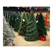 ARBOL 8PIES 2110TIPS - 110-1400197