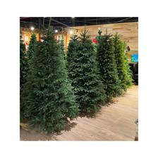 XMAS TREE 7 FT 1443 TIPS PE &PVC mixed - 110-1400242