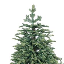 ARBOL 7FT 1030TIPS C/400L 130X - 110-1400343/1