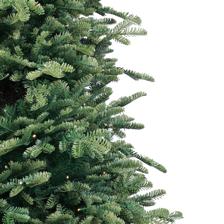 ARBOL 7FT 1030TIPS C/400L 130X - 110-1400343/1
