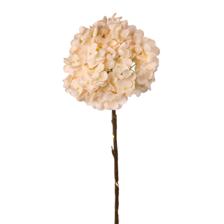RAMO DECORATIVO C/ LUZ 12X12X62CM - 120-7000053U