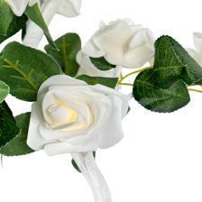 ROSAS 24L C/LUZ A/BAT3 8X14X3 - 120-7500079B