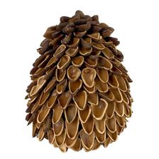 NUT SHELL HEDGEHOG - 130-7000496