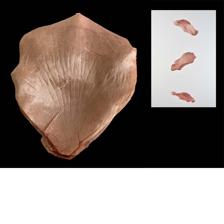 FABRIC FLOWER PETAL HANGING - 140-1100071
