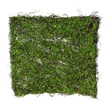 ARTE DO MUSGO. - 140-1300038