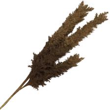 RAMA DECOR 122CM - 140-1300218