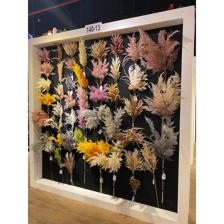 RAMA DECOR - 140-1300406