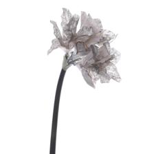 FLOR DECOR - 140-3300072