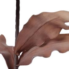 FLOR DECOR - 140-3300088