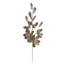 MAGNORLIA SPRAY - 140-4100731