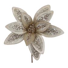 POINSÉTIA - 140-5200467