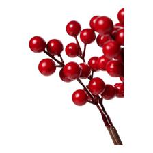 BERRY BUSH - 140-5201713