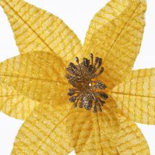 FLOWER - 140-5201748