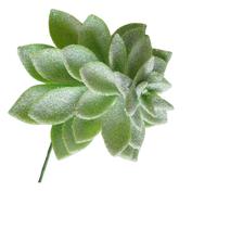 PICK 22.5CM - 140-5700591