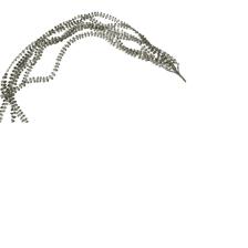 37INCHES GARLAND - 140-5700680