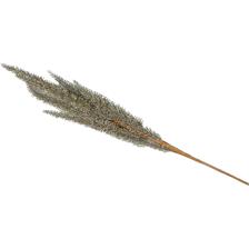 GALHOS DE 79 CM - 140-5701240