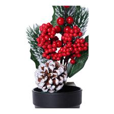 BERRY PINECONE W/ POT - 140-5702851