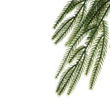 6FEET GARLAND - 140-5703282