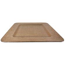 PLASTIC ROUND PLATE - 180-7900293