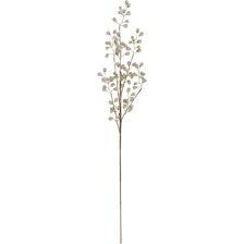 60CM SPRAY - 200-2900117