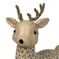 DEER - 201-1300269