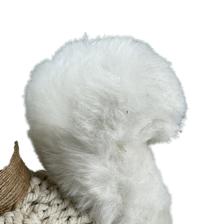ARDILLA - 201-2200283