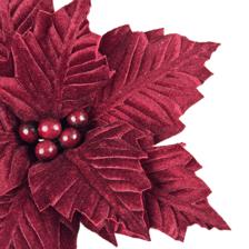 POINSETTIA - 201-3500449