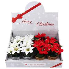 POINSETTIA DECOR 2SURT 7x16cm - 201-8900134