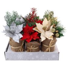 POINSETTIA DECOR 3SURT 8x22cm - 201-8900136