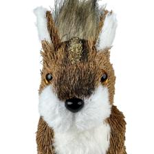 BROWN SQUIRREL - 202-2400070