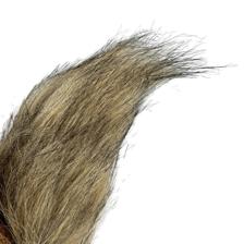 BROWN SQUIRREL - 202-2400070