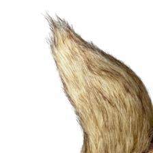 ARDILLA DECOR 24X44X44CM - 202-2400093