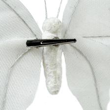 BORBOLETA - 202-2500150